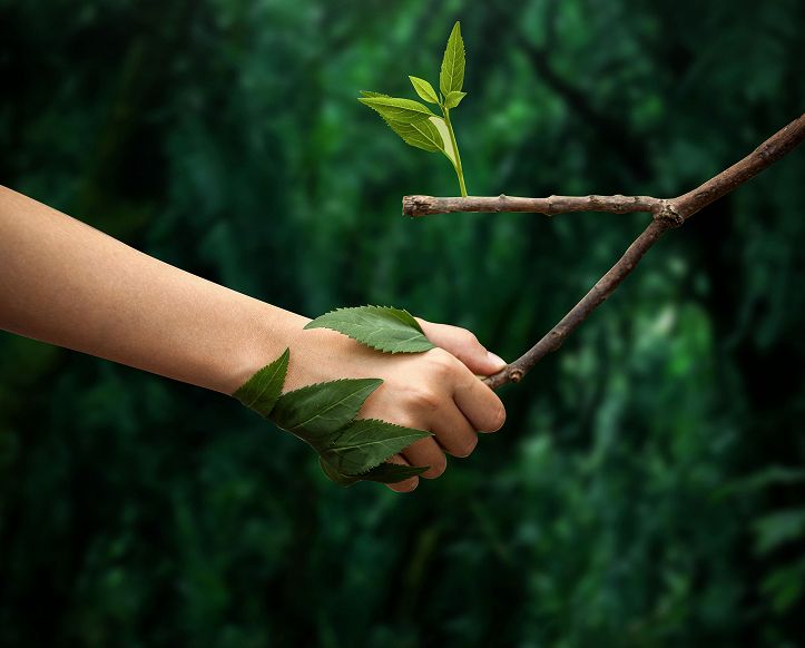 Sustainability: Nature Protect